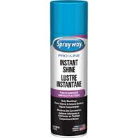 Brillant instantan&eacute; Pro Line pour surfaces en plastique, 11 oz, Canette a&eacute;rosol St. Lawrence Industrial & Safety Supply