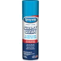 Nettoyant tout usage Pro Line Crazy Clean, 19 oz., Canette a&eacute;rosol St. Lawrence Industrial & Safety Supply