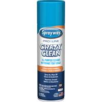 Nettoyant tout usage Pro Line Crazy Clean, 19 oz., Canette a&eacute;rosol St. Lawrence Industrial & Safety Supply
