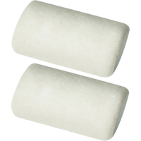 Manchons pour rouleau de calibre professionnel, Nap 6 mm (1/4"), 101,6 mm (4") l St. Lawrence Industrial & Safety Supply