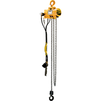 Palans pneumatiques &agrave; chaîne Budgit St. Lawrence Industrial & Safety Supply