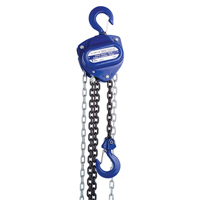 Palan &agrave; chaîne, Lev&eacute;e 10', Capacit&eacute; 2000 lb (1 tonne), Chaîne Calibre de chaîne de chargement 80 St. Lawrence Industrial & Safety Supply