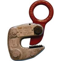 Lifting Clamps