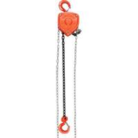 Chain Hoist, 20' Lift, 1000 lbs. (0.45 tons) Capacity, Alloy Steel Chain St. Lawrence Industrial & Safety Supply