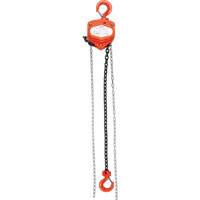 Chain Hoist, 20' Lift, 1000 lbs. (0.45 tons) Capacity, Alloy Steel Chain St. Lawrence Industrial & Safety Supply