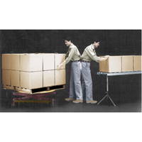 Spring-Operated Pallet Lifters - Pallet Pal&reg;, 43-5/8" L x 43-5/8" W, 4500 lbs. Cap. St. Lawrence Industrial & Safety Supply