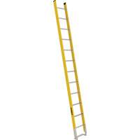 &eacute;chelle simple &agrave; une section - S&eacute;rie 6100, 12', Fibre de verre, 375 lb, CSA calibre 1AA St. Lawrence Industrial & Safety Supply