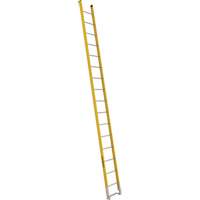 Single Section Straight Ladder - 6100 Series, 16', Fibreglass, 375 lbs., CSA Grade 1AA St. Lawrence Industrial & Safety Supply