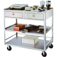 Supports en acier inoxydable pour &eacute;quipement, 300 lb Capacit&eacute;, Acier inoxydable, 20"/20-1/8" x la, 35" x ha, 37"/36-3/8" p, D&eacute;mont&eacute;, 2 tirroirs St. Lawrence Industrial & Safety Supply