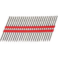 16D Collated Duplex Nails St. Lawrence Industrial & Safety Supply