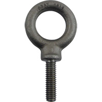 Boulon &agrave; oeil en acier alli&eacute;, 1" dia, 1-1/4" lo, 1480 lb (0,74 tonnes)/1480 lb capacit&eacute; St. Lawrence Industrial & Safety Supply