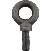 Boulon &agrave; oeil en acier alli&eacute;, 2-3/16" dia, 3" lo, 18 400 lb/18400 lb (9,2 tonnes) capacit&eacute; St. Lawrence Industrial & Safety Supply