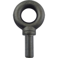 Boulon &agrave; oeil en acier alli&eacute;, 2-1/2" dia, 3-1/2" lo, 26600 lb (13,3 tonnes)/26600 lb capacit&eacute; St. Lawrence Industrial & Safety Supply
