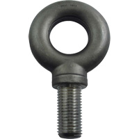 Boulon &agrave; oeil en acier alli&eacute;, 3-1/4" dia, 4" lo, 47600 lb (23,8 tonnes)/47600 lb capacit&eacute; St. Lawrence Industrial & Safety Supply