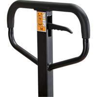 Transpalette manuel, Acier, 48" lo x 21" la, Capacit&eacute; 5500 lb St. Lawrence Industrial & Safety Supply