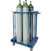 4-Cylinder Forklift Cylinder Storage Caddy St. Lawrence Industrial & Safety Supply