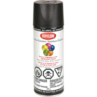 Laque industrielle Acryli-Quik, Noir, Semi-mat, 12 oz, Canette a&eacute;rosol St. Lawrence Industrial & Safety Supply