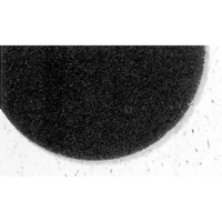 7300 Pro-Strip Pads, 17", Stripping, Black St. Lawrence Industrial & Safety Supply