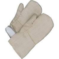 Gander Brand Mitt, Fibreglass, One Size, Protects Up To 608° F (320° C ) St. Lawrence Industrial & Safety Supply