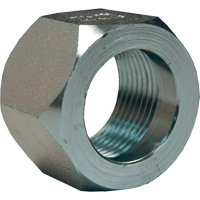 &eacute;crou hexagonal de minage Dixon, 1", Zingu&eacute;, Filetage NPT St. Lawrence Industrial & Safety Supply