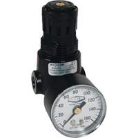 R&eacute;gulateur miniature R04 Wilkerson, 1/4" NPT, PSI max. de 300 psi, Standard St. Lawrence Industrial & Safety Supply