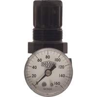 R&eacute;gulateur miniature de s&eacute;rie 1, 1/8" NPT, PSI max. de 100 psi, Standard St. Lawrence Industrial & Safety Supply