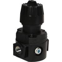 R&eacute;gulateur compact R16 Wilkerson, 1/4" NPT, PSI max. de 300 psi, Standard St. Lawrence Industrial & Safety Supply
