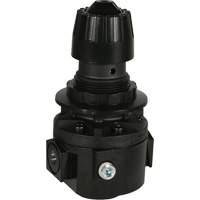 R&eacute;gulateur Wilkerson R26, 1/2" NPT, PSI max. de 300 psi, Standard St. Lawrence Industrial & Safety Supply