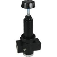 R&eacute;gulateur &agrave; d&eacute;bit &eacute;lev&eacute; R30 Wilkerson, 1" NPT, PSI max. de 300 psi, Standard St. Lawrence Industrial & Safety Supply