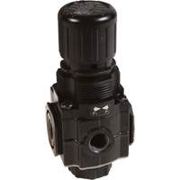 Collecteur de r&eacute;gulateur de s&eacute;rie 1, 1/4" NPT, PSI max. de 150 psi, Standard St. Lawrence Industrial & Safety Supply