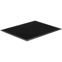 Tapis Gritstop Fingermat, Caoutchouc, Grattoir Type, Motif Textur&eacute;, 2' x 2-2/3', Noir St. Lawrence Industrial & Safety Supply