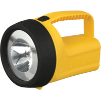 Lanterne flottante Readyflex de EverReady, DEL, 80 Lumens, Piles D St. Lawrence Industrial & Safety Supply