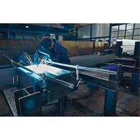 Serre-joint enti&egrave;rement en acier &agrave; double force variable St. Lawrence Industrial & Safety Supply