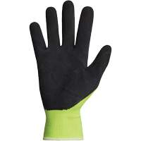 Dexterity&reg; Coated Gloves, 10, Latex Coating, 13 Gauge, Polyester Shell St. Lawrence Industrial & Safety Supply