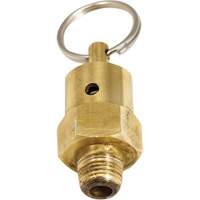 Soupape de rel&acirc;chement de pression Viton St. Lawrence Industrial & Safety Supply