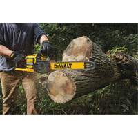 Scie &agrave; chaîne sans fil Flexvolt, 16", &agrave; pile, 60 V St. Lawrence Industrial & Safety Supply