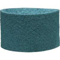 Courroie de conditionnement de surface Scotch-Brite St. Lawrence Industrial & Safety Supply