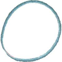 Scotch-Brite Surface Conditioning Belt St. Lawrence Industrial & Safety Supply