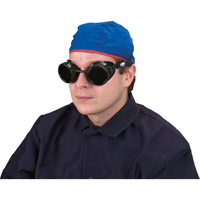 Lunettes &agrave; coque, Lentille 5,0, Anti-&eacute;gratignures, Ventilation Ferm&eacute; St. Lawrence Industrial & Safety Supply