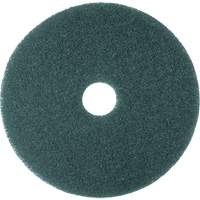 Cleaner Pad, 13", Scrubbing, Blue St. Lawrence Industrial & Safety Supply