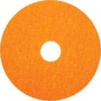 BlazeX F980 Fiber Disc, Ceramic Alumina, 36, 5" Dia x 7/8" Arbor St. Lawrence Industrial & Safety Supply