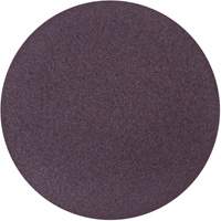 Disque de ponçage en tissu PSA Metalite, 10" dia., Grain 50, Oxyde d'aluminium St. Lawrence Industrial & Safety Supply