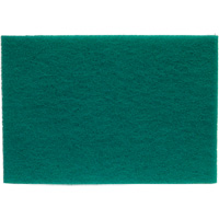 Tampons manuels Bear-Tex, Oxyde d'aluminium, 6" x 9", Grain Tr&egrave;s fin St. Lawrence Industrial & Safety Supply