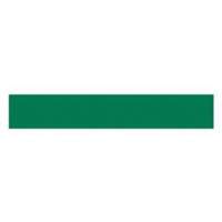 Write-On Magnetic Label, Magnetic, 600" L x 1" W St. Lawrence Industrial & Safety Supply