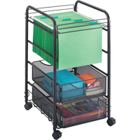 Chariot classeur Onyx St. Lawrence Industrial & Safety Supply