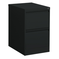 Vertical Filing Cabinet, Steel, 2 Drawers, 18-1/7" W x 25" D x 29" H, Black St. Lawrence Industrial & Safety Supply