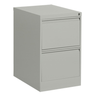 Vertical Filing Cabinet, Steel, 2 Drawers, 18-1/7" W x 25" D x 29" H, Grey St. Lawrence Industrial & Safety Supply
