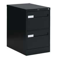Vertical Filing Cabinet with Recessed Drawer Handles, 2 Drawers, 18.15" W x 26.56" D x 29" H, Black St. Lawrence Industrial & Safety Supply