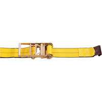 Tendeurs d'arrimage &agrave; cliquet, Crochet plat, 4" , 30' , Charge d'utilisation max. 5400 lb (2450 kg) St. Lawrence Industrial & Safety Supply