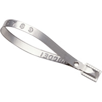 Scell&eacute;s Guard Lock, 8-3/8", M&eacute;tal, Scell&eacute; pour camion St. Lawrence Industrial & Safety Supply